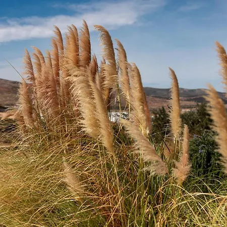 Ventu Paros Marpissa
